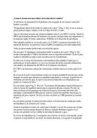 El hipotálamo y la regulación del hambre y la sed