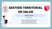 GESTION TERRITORIAL EN SALUD | Resúmenes de Salud Pública - Docsity