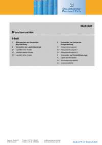 Merkblatt Bilanzkennzahlen Inhalt