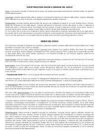 Principi di nutrizione vegetale