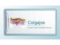 Generalidades de los colgajos