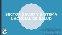 sector salud y sistema nacional en salud en Costa Rica