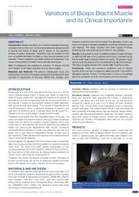 Variations in Origin & Nerve Supply of Biceps Brachii: An Observational Study