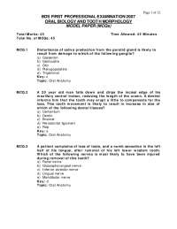 Oral Biology & Tooth Morphology