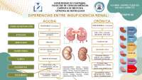 DIFERENCIAS ENTRE IRA Y ERC