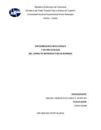 Diagnóstico de Enfermedades Reproductivas en Bovinos: Leptospirosis vs. Otras Patologías