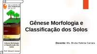Gênese morfologia e classificação do solo