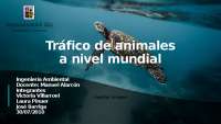 trafico de animales ppt