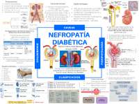 NEFROPATÍA DIABÉTICA