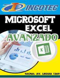 Manual exel avanzado