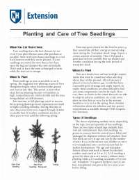 Tree Planting: Choosing, Storing, and Planting Seedlings