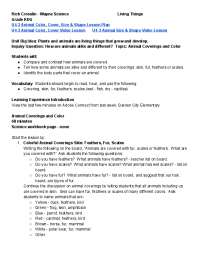 Animal Coverings and Size: A Kindergarten Lesson Plan