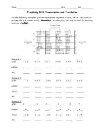 Practicing DNA Transcription and Translation