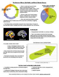 The Science of Stress, Bad Habits, and Risk of Chronic Disease