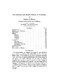 The Anatomy and Classification of Peranema trichophorum: A Controversial Protozoan