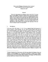 Why has the Philippines Remained a Poor Country? Some ...