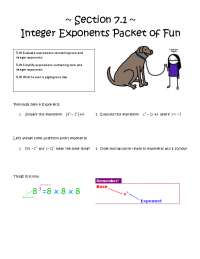 ~ Section 7.1 ~ Integer Exponents Packet of Fun
