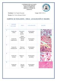 CUERPOS DE INCLUSION, VIRUS, LOCALIZACIÓN E IMAGEN