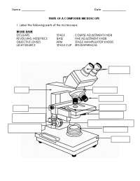 Microscope Parts and Use