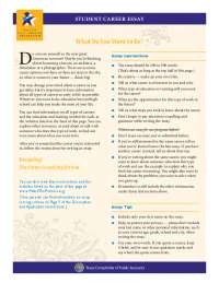 Career Exploration Essay: Discovering Your Future Profession