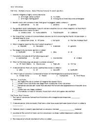 Quiz: Volcanoes