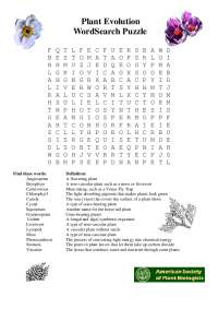 Plant Evolution WordSearch Puzzle: Identifying Key Botanical Terms