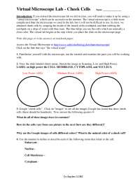 Virtual Microscope Lab | Exams Biology | Docsity