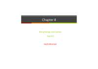 Morphology and Syntax: A Comprehensive Guide for English Language Learners