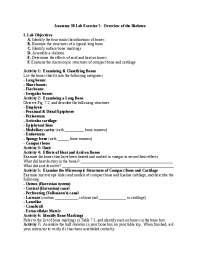 Anatomy 30 Lab Exercise 7: Overview of the Skeleton | Study notes ...