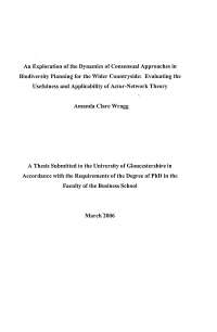 An Exploration of the Dynamics of Consensual Approaches in