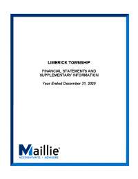 Limerick Township Govt. Funds Balance Sheet & Reconciliation, Dec 31, 2020
