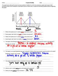 Enzyme Activity Worksheet Answers.pdf