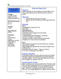 Plant and Animal Cells Summary Objectives Materials Making ...