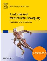 Anatomie und menschliche Bewegung