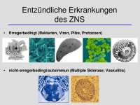Entzündliche Erkrankungen des ZNS