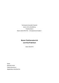 Muster Praktikumsbericht zum Kita-Praktikum