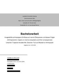 Bachelorarbeit