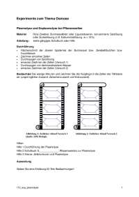 Experimente zum Thema Osmose
