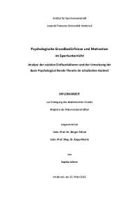 Psychologische Grundbedürfnisse und Motivation im ...