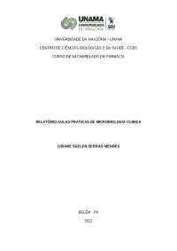 Relatório de Práticas de Microbiologia Clínica: Meios de Cultura e Semeadura