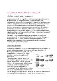 ISTOLOGIA, ANATOMIA, FISIOLOGIA