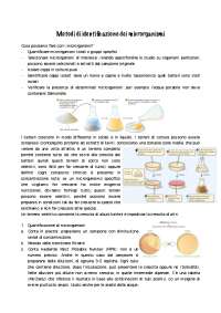 Metodi di conta batterica | Schemi e mappe concettuali di Microbiologia ...