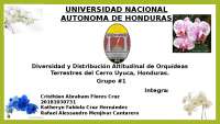 diapositivas de investigación