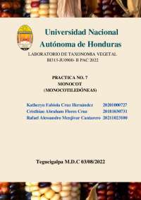 practica 7 grupo 1 monocotiledóneas