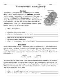 Photosynthesis: Making Energy - Worksheet