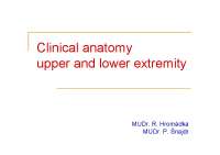 Clinical Anatomy of Upper and Lower Extremities: Acute Trauma and Fractures