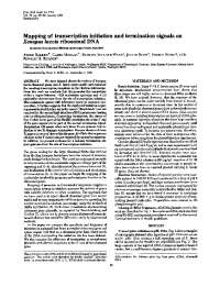 Mapping Transcription Signals on X. laevis Ribosomal DNA: Study on Oocytes
