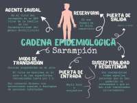 El Sarampión: Agente Causal, Transmisión y Susceptibilidad