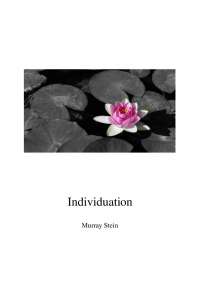 Analytical Psychology: Individuation, Self-Realization & Development Stages