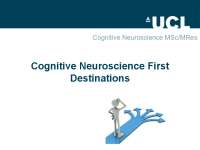 Cognitive Neuroscience: First Destinations and Careers of Graduates